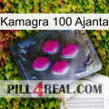 Kamagra 100 Ajanta 02